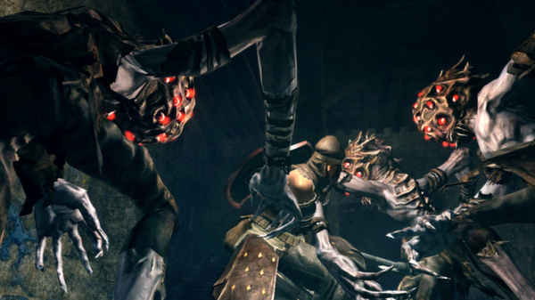 Dark Souls 1 Prepare to Die Edition ekran görüntüsü 2