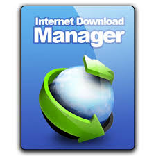 Internet Download Manager Full ekran görüntüsü 2