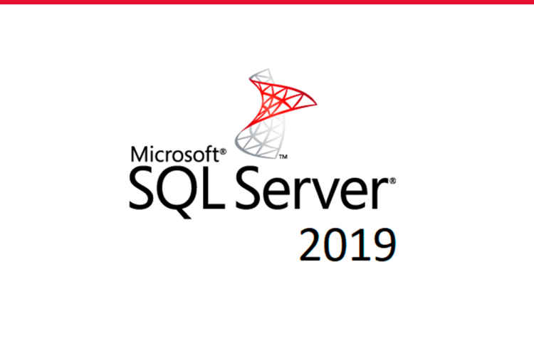 Microsoft SQL Server 2019 ekran görüntüsü 2