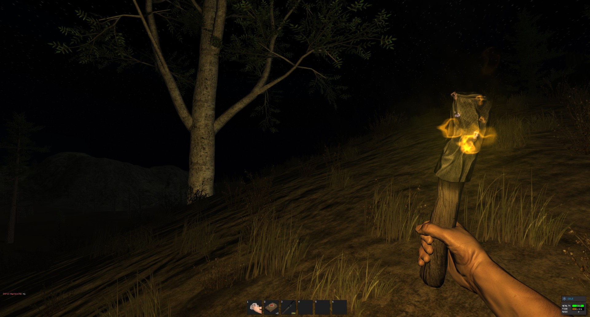 Rust ekran görüntüsü 2