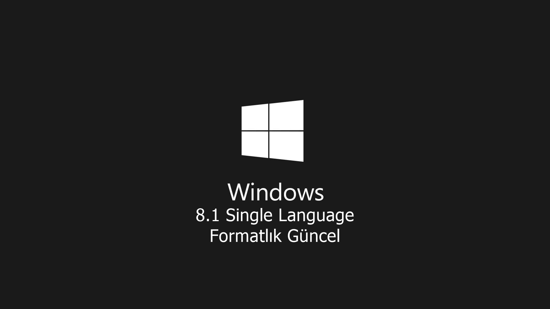 Windows 8.1 Single Language ekran görüntüsü 5
